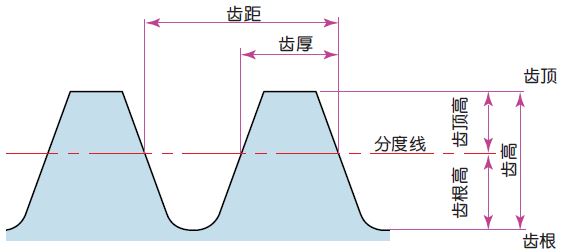 齒頂高