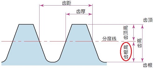 齒根高