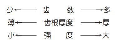 齒形比較