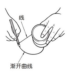 漸開曲線